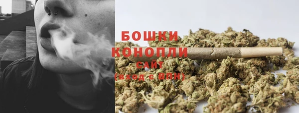 амф Бородино