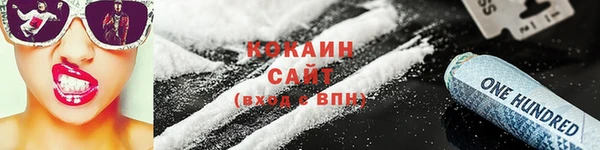 амф Бородино