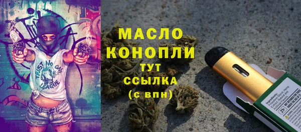 амф Бородино