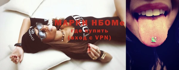 амф Бородино