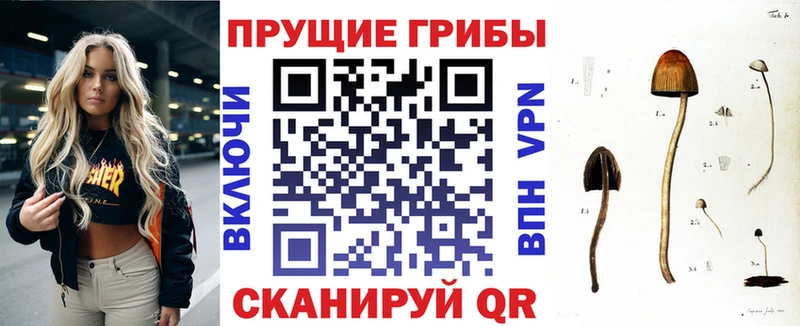 Псилоцибиновые грибы MAGIC MUSHROOMS  Палласовка 