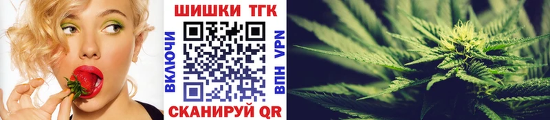 Бошки марихуана ГИДРОПОН  купить наркоту  Палласовка 